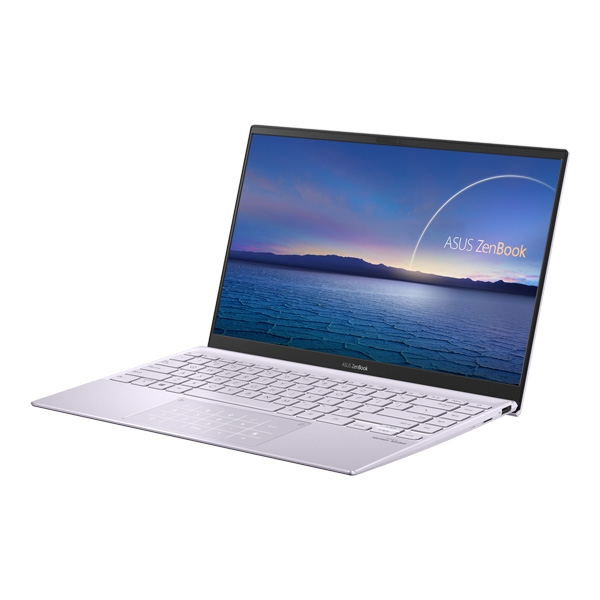 لپ تاپ ایسوس مدل ZenBook 14 UX425JA 